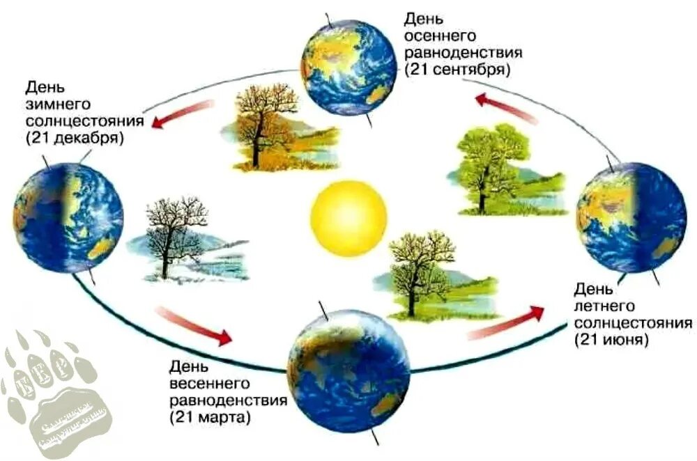 День равноденствия в доу. Смена времен года на земле (схема, пояснения).. Смена времен года схема земли и солнца. Смена времен года происходит от вращения земли вокруг. Смена времен года земля вращается вокруг солнца.