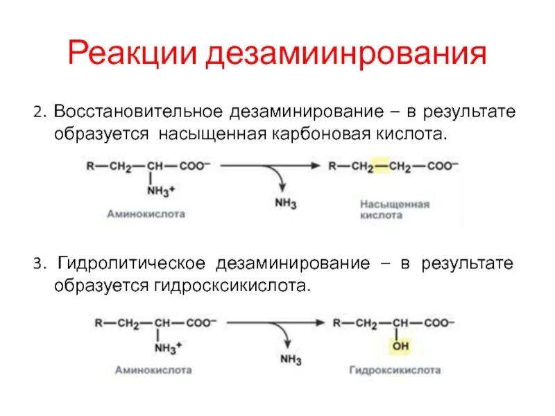 В результате дезаминирования образуется