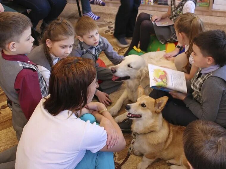 Собаки в библиотеке Финляндия. Дети чтение собаки. Читальные собаки в Финляндии. Учащиеся собаки. Дети читают собаке