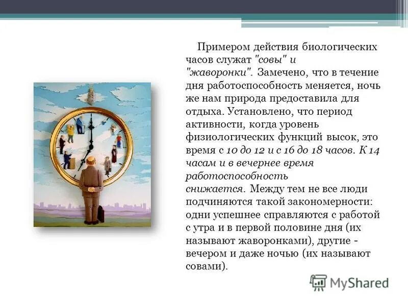 Установлено что период активности когда уровень физиологических