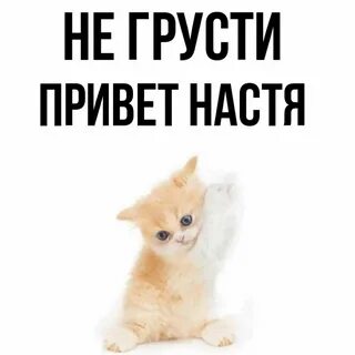 Зовут настя привет