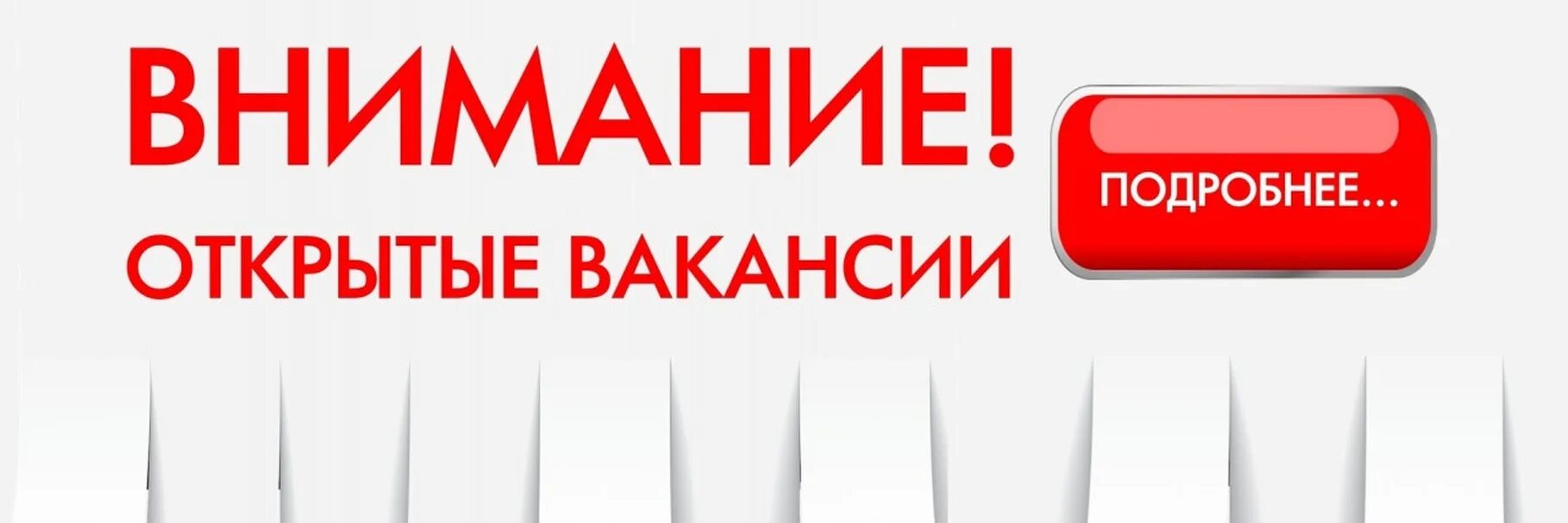 Ищет новые группы. Внимание вакансия. Открыта вакансия. Внимание приглашаем на работу. Внимание открыта вакансия.