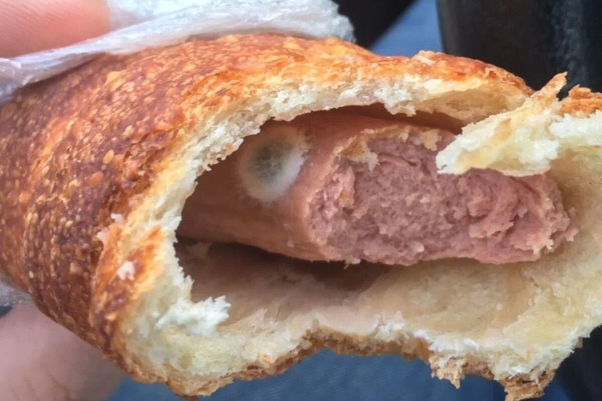 Бутерброд с плесенью. Сосиска в тесте с плесенью. мясо в тесте. булочка с сосиской.
