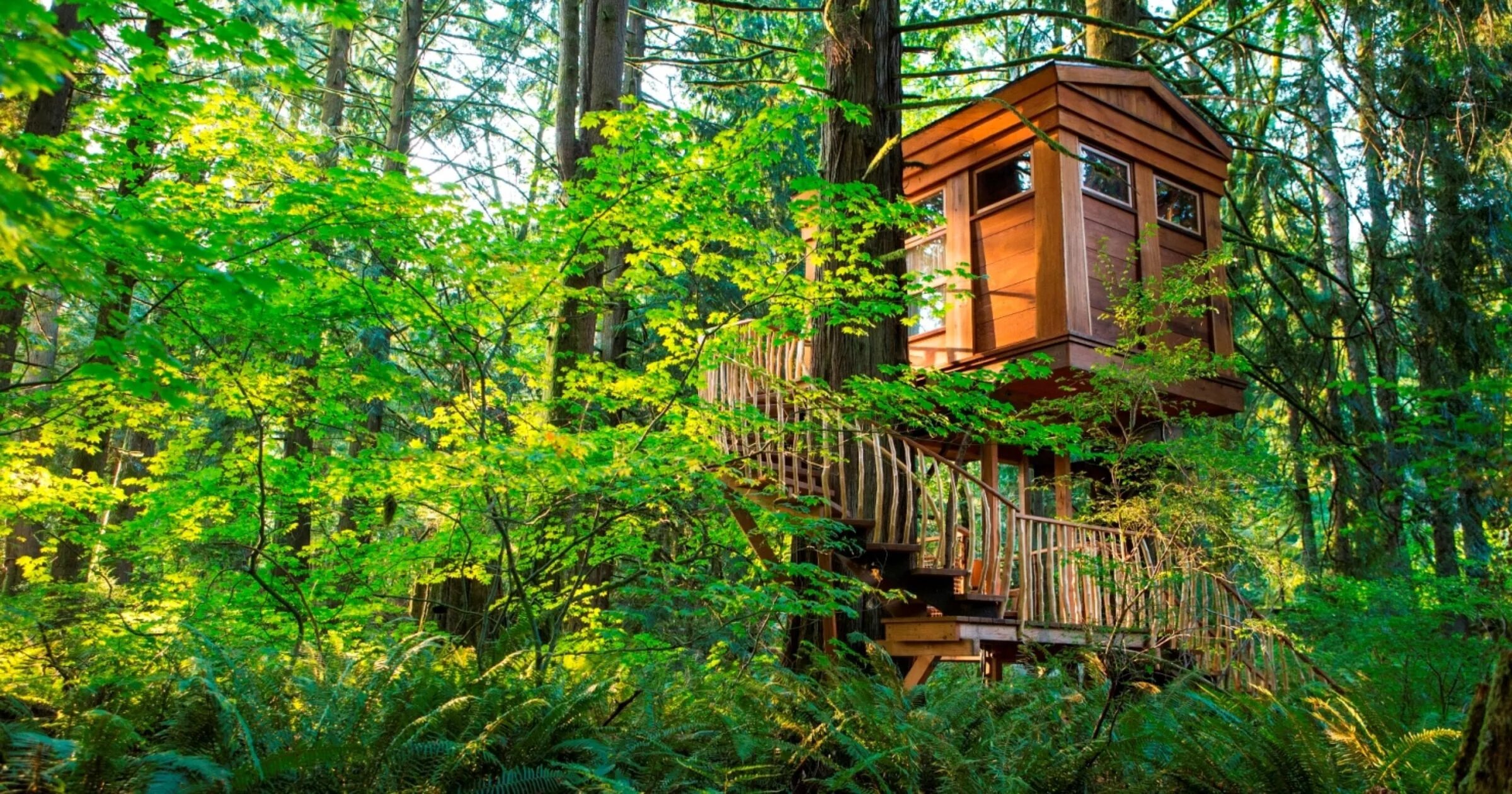 Жилой дом на дереве. Отель Treehouse домики на деревьях. Отель на дереве США штат Вашингтон. Домик среди деревьев. Эстетичный домик на дереве в лесу.