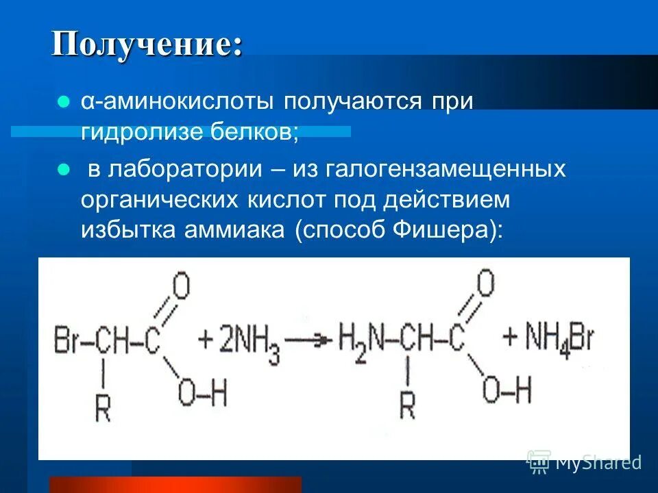 Получение аминокислот гидролизом белков. Гидролиз белка реакция. Получение белков реакция. Реакция гидролиза аминокислот.