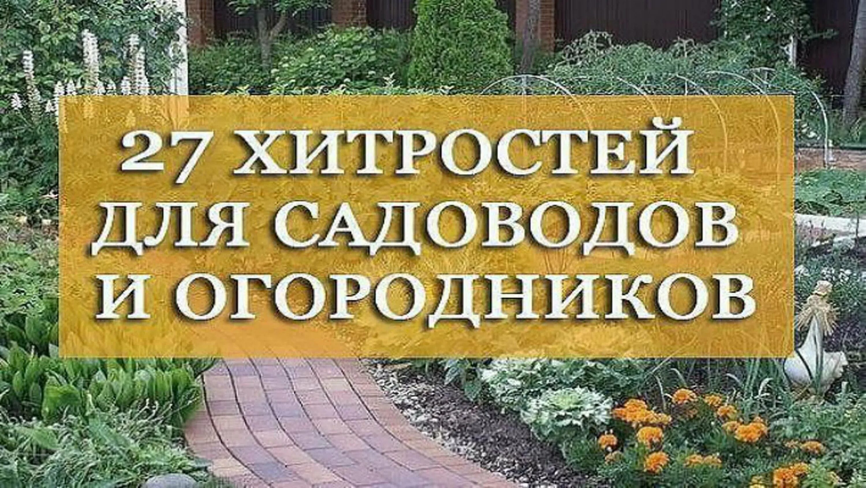Все про огород и дачу полезные. Советы садоводам и огородникам. хитрости садовода. советы для огородников. хитрости для дачи.