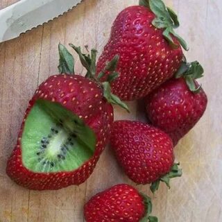 Фрукты со вкусом