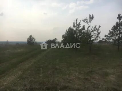 Арманиха нижегородская область дальнеконстантиновский