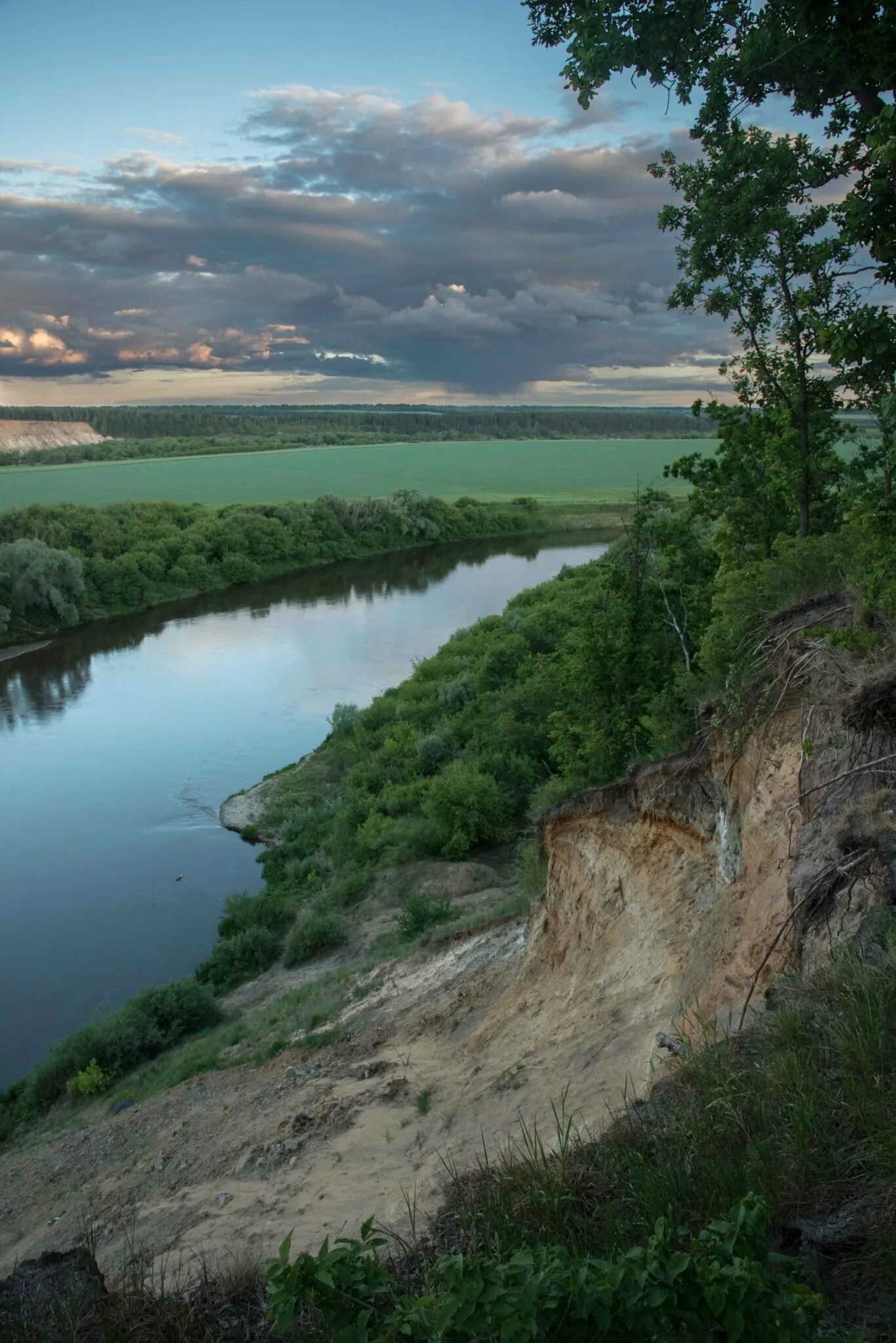 Река Дон в Воронежской области. Река Дон Кривоборье. Река Дон в Павловске Воронежской. Природа Воронежской области река Дон.