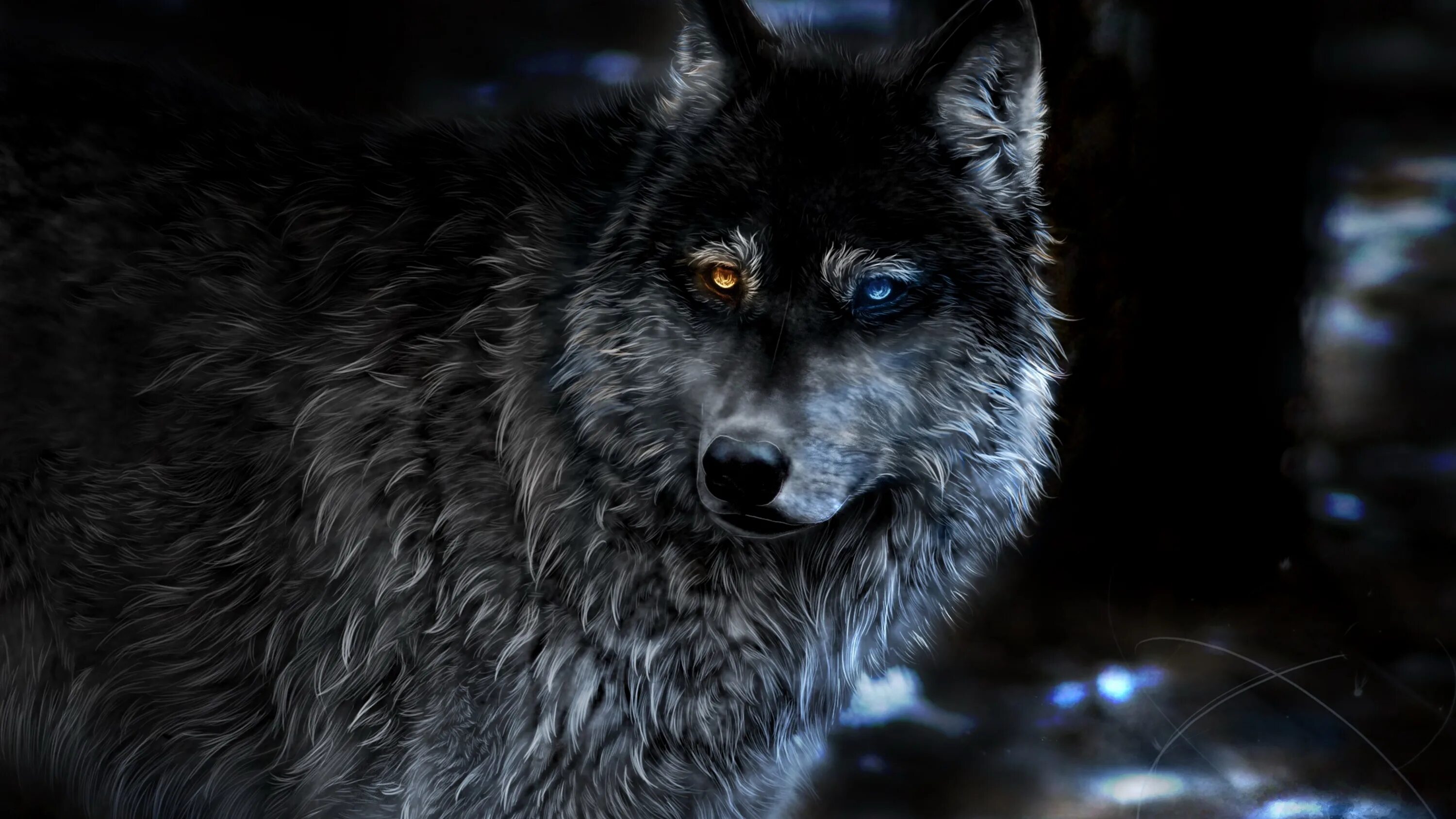 J wolf. J wolf