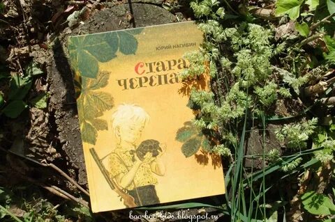 Старая черепаха нагибин сочинение