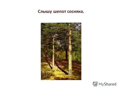 Я навек за туманы и росы полюбил