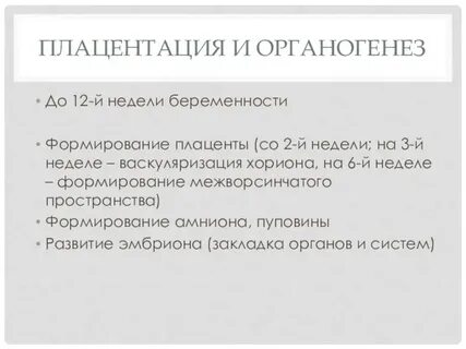 Плацентация
