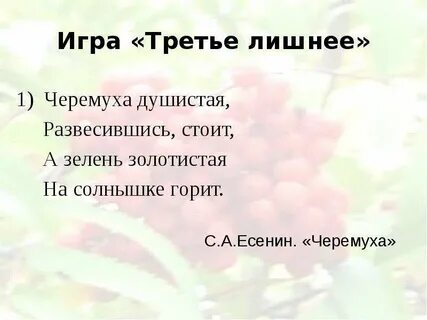 Развесившись стоит