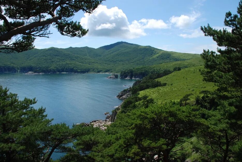 хасанский р н приморский край. природа хасанского района приморского края. дальневосточный морской заповедник приморский край хасанский район. хасанский заповедник приморского края. бухта спасения хасанский район.