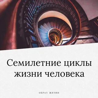 Цикл жизни книга
