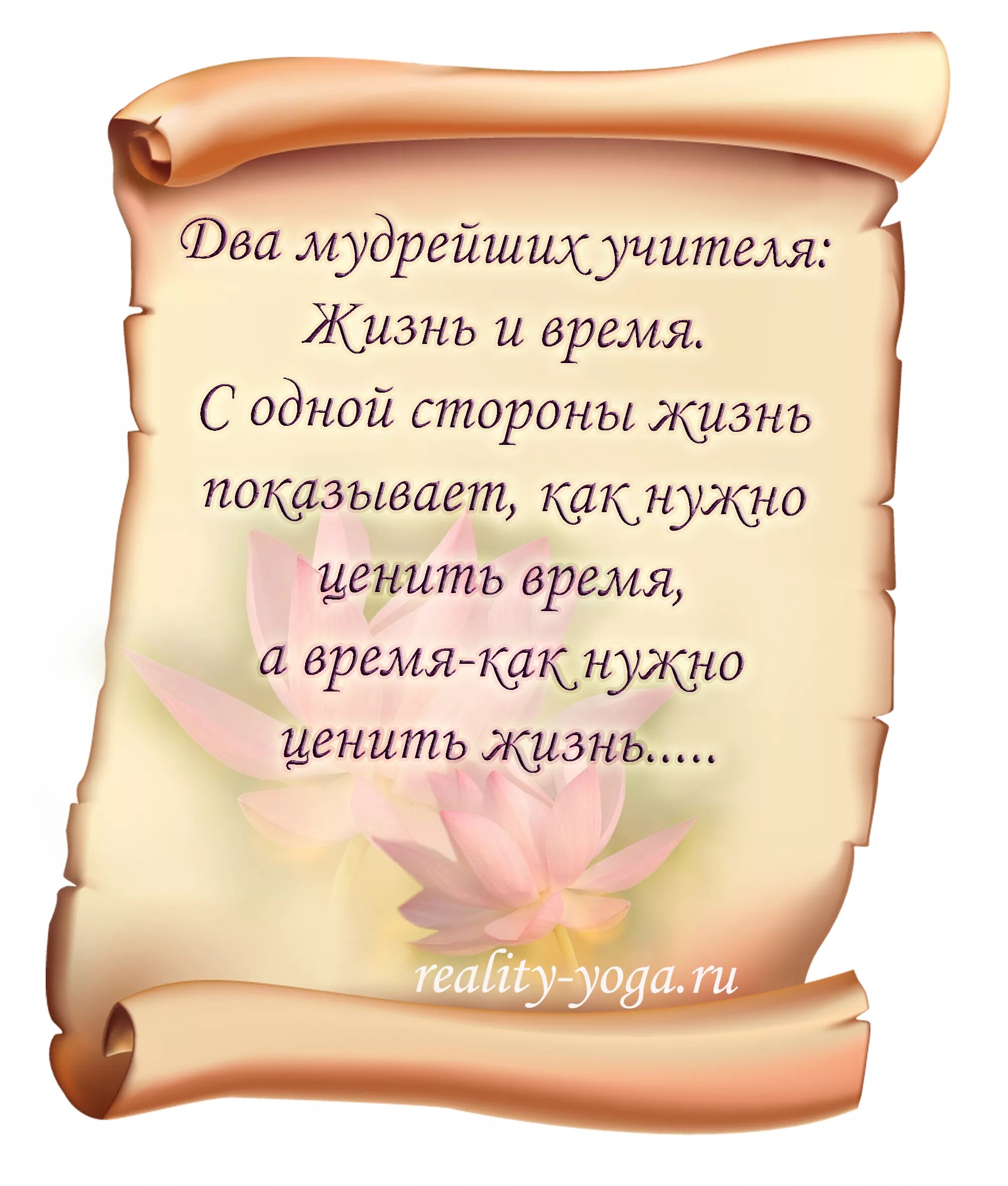 Мудрые слова в день рождения. Мудрые изречения. Мудрые поздравления с днем рождения мужчине. Мудрые пожелания. Умные пожелания.