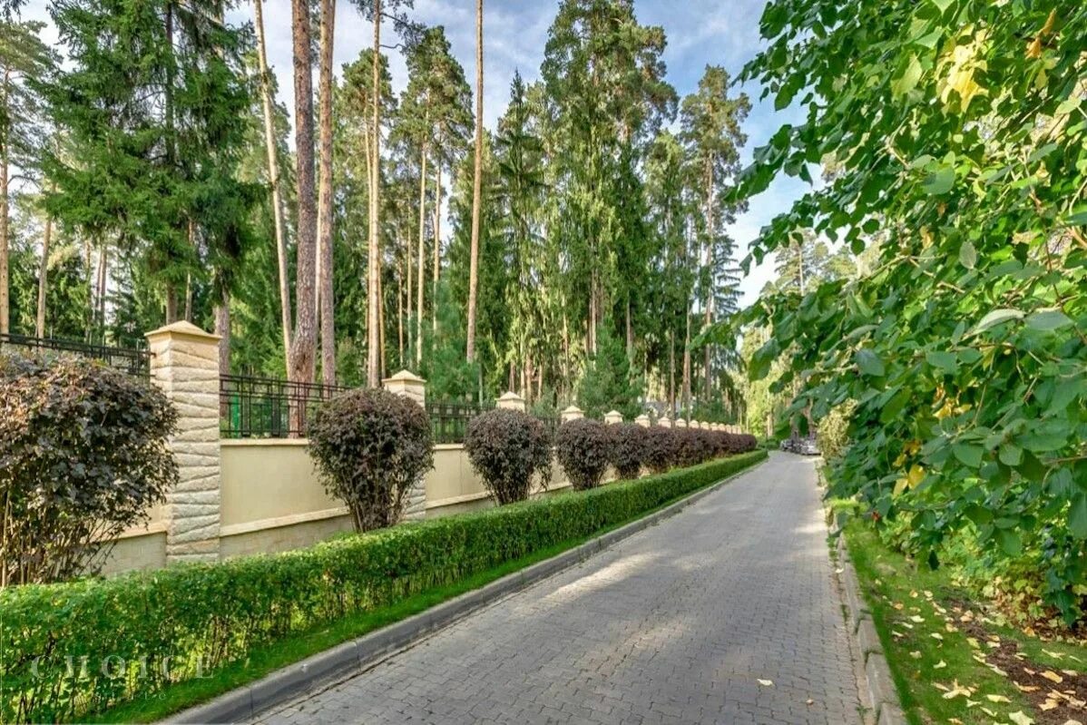 Тропинка курск