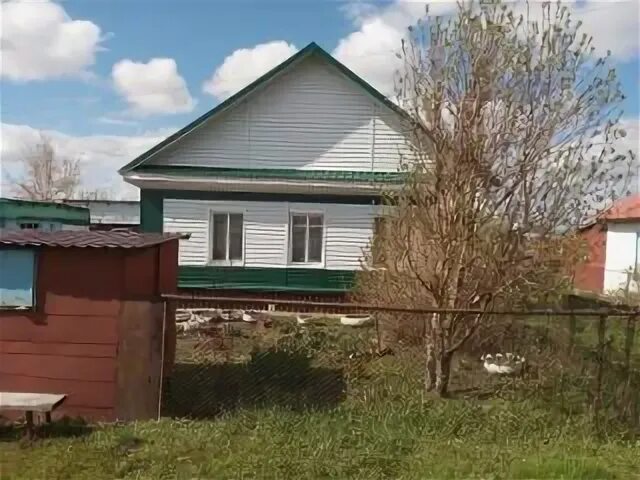 Алтайский край с леньки