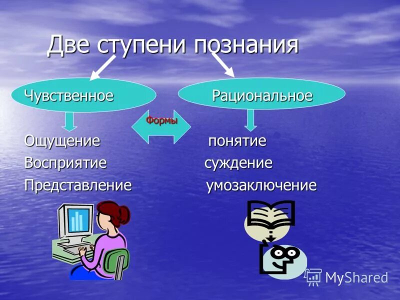 Формы познания ощущение восприятие суждение понятие представление. Ступени рационального познания. Ощущение восприятие представление понятие суждение умозаключение. Понятие суждение ощущение умозаключение восприятие. Высшей ступенью рационального познания является....