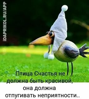 Добрейшее утро с птицами с надписями