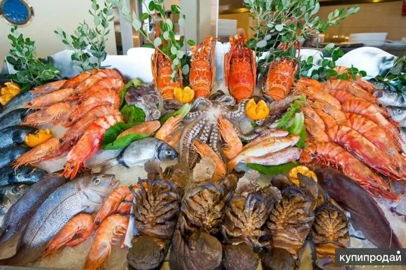 Краснодарском крае морепродуктов
