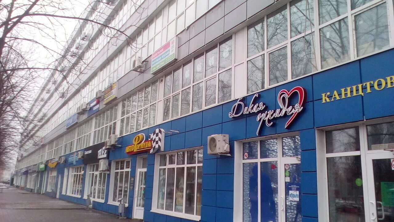 белгород ул королева 2а. королёва 2а белгород на карте. белгород ул королева 2а на карте. белгород ул королева 2а. королева 2 белгород.