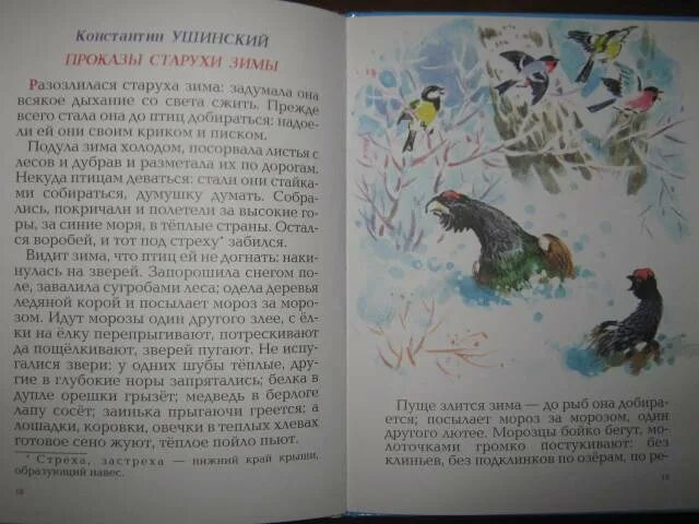 Ушинский старуха зима. Ушинский проказы зимы. &quot;проказы старухи-зимы&quot;. константин ушинский. проказы матушки зимы ушинский. зима ушинский книга.