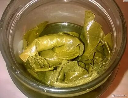 Какие листья подойдут для долмы