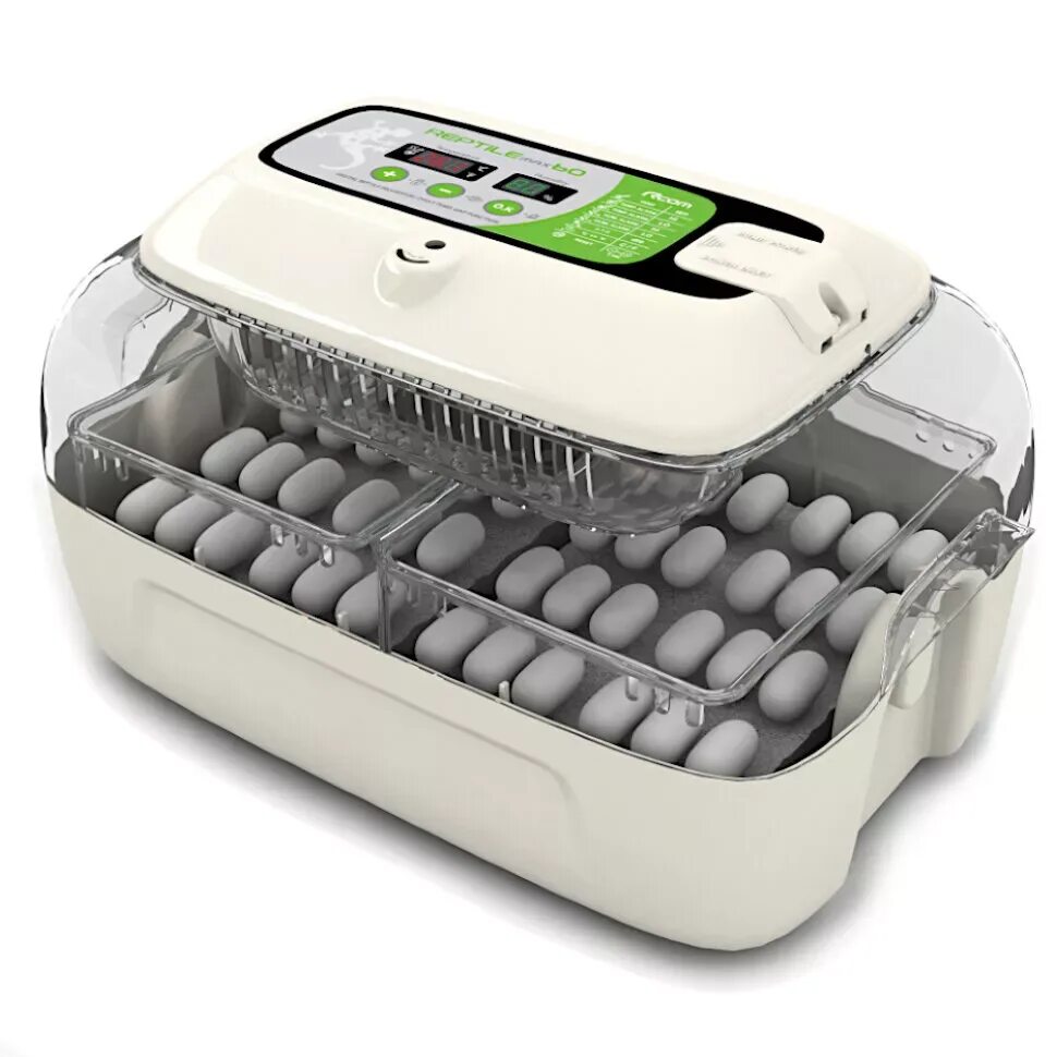 Incubator