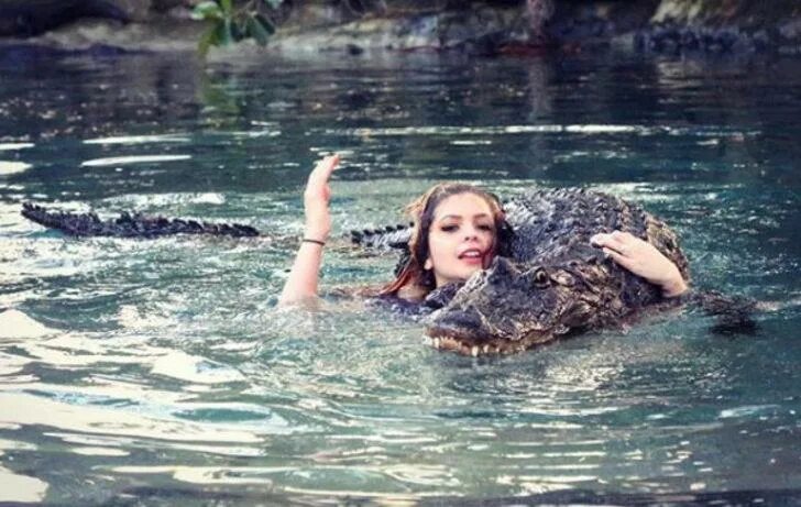 Фотосессия с крокодилом. Крокодилы vore девушки крокодилы. Аллигатор. Хельмут ньютон, германия, 1920–2004. Крокодил ест девочку.