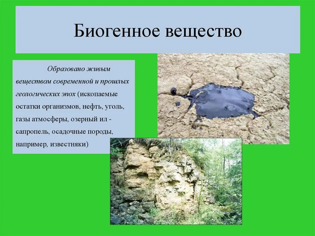 Базальт биогенное вещество. Биогенное вещество. Биогенное вещество биосферы. Биогенное вещество примеры. Биогенный известняк.