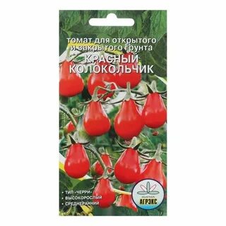 Томат колокольчик