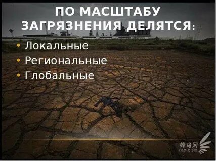 Глобальные региональные