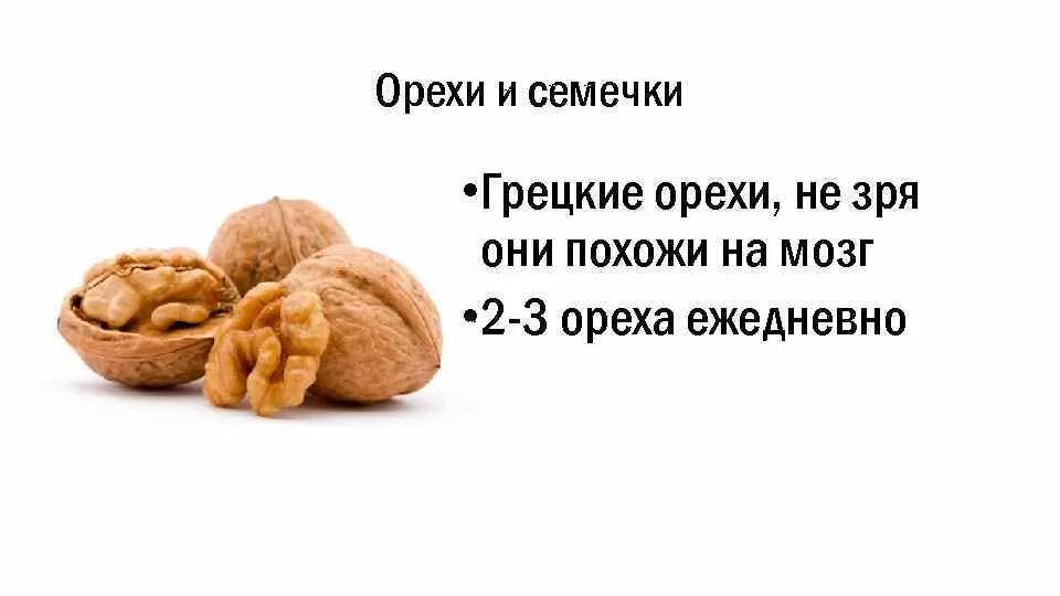 Грецкий орех и мозг. Орехи полезны для мозга. Грецкий орех для мозга и памяти. Грецкий орех и мозг человека.