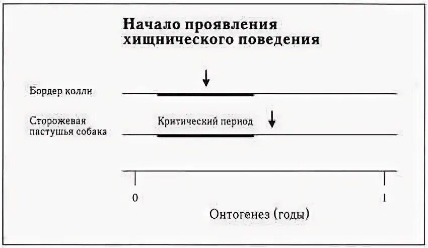Хищнический предложение