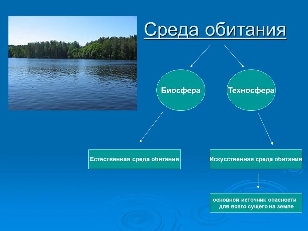 Средства обитания человека. Искусственная среда обитания. Естественная среда обитания. Естественная и искусственная среда обитания. Среда обитания человека.