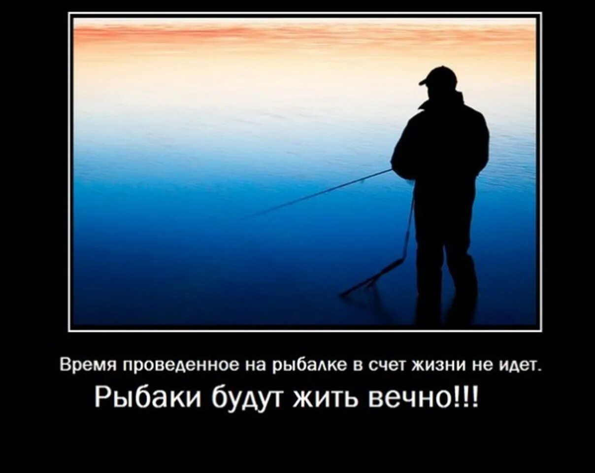 Жизнь и ловля