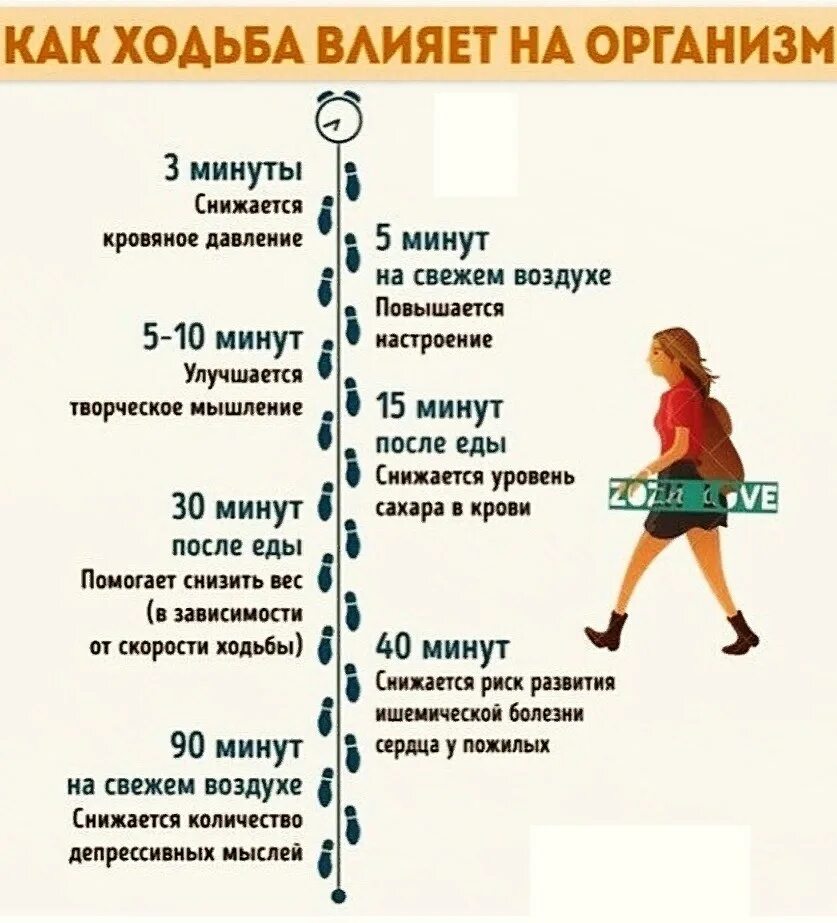 Какая польза для человека. Польза ходьбы. Пешие прогулки полезны для здоровья. Схема ходьбы для похудения. Польза ходьбы пешком.