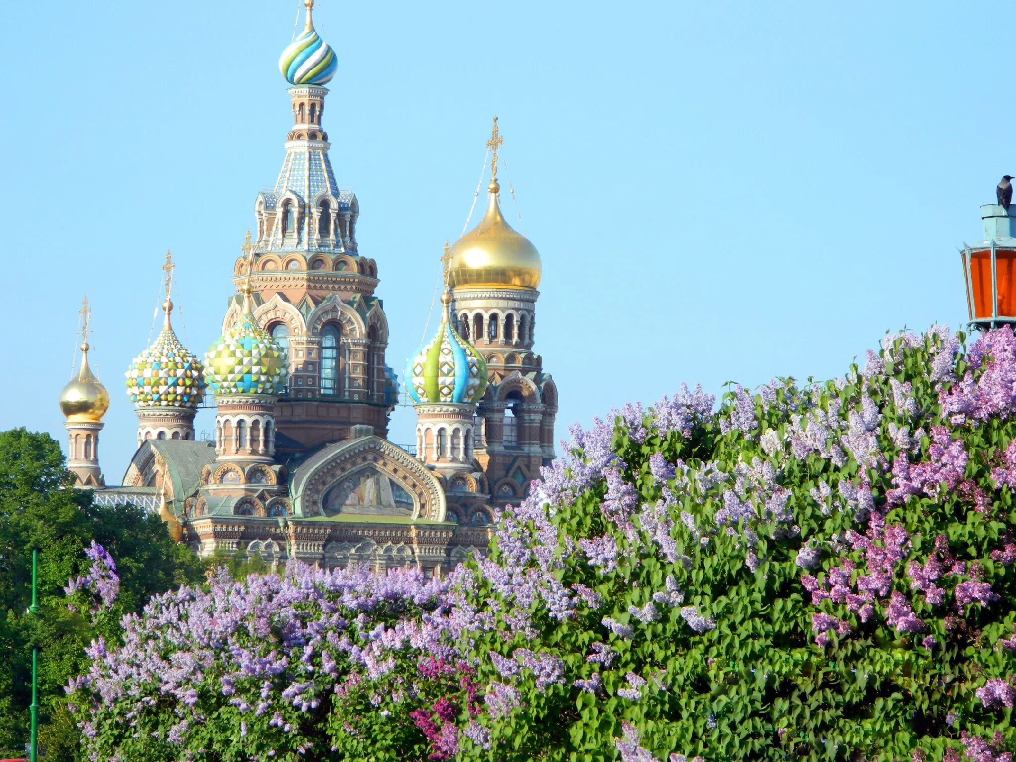 Экскурсии в петербурге в мае