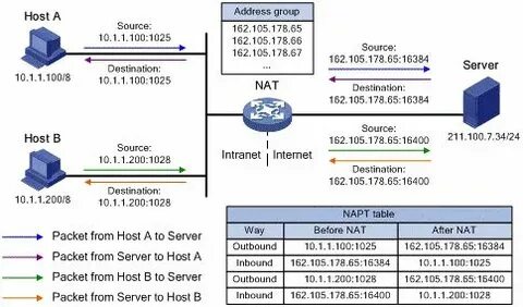 Host 101