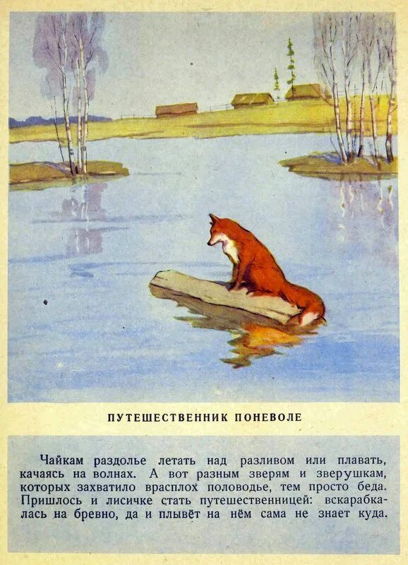 Скребицкий весенняя песня чья песня прогнала зиму. Весенняя песня скребицкий.