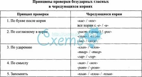 Зажимать гласная в корне