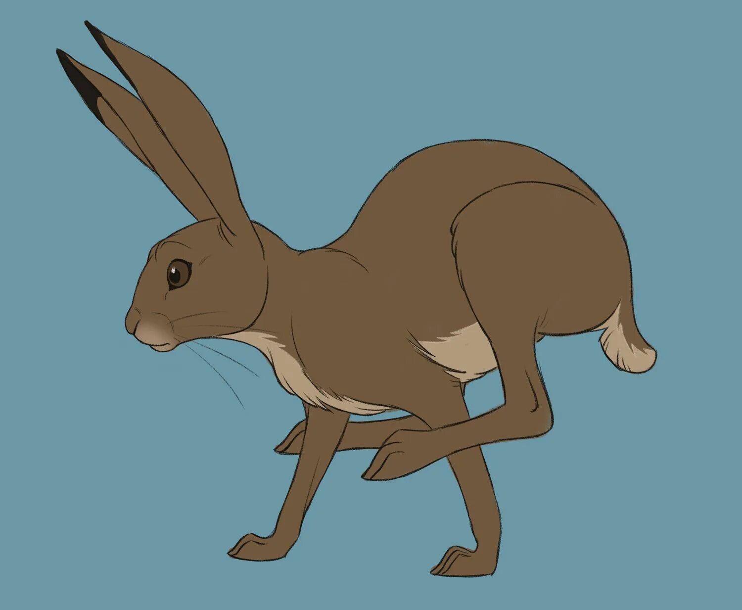 Hare of the cog