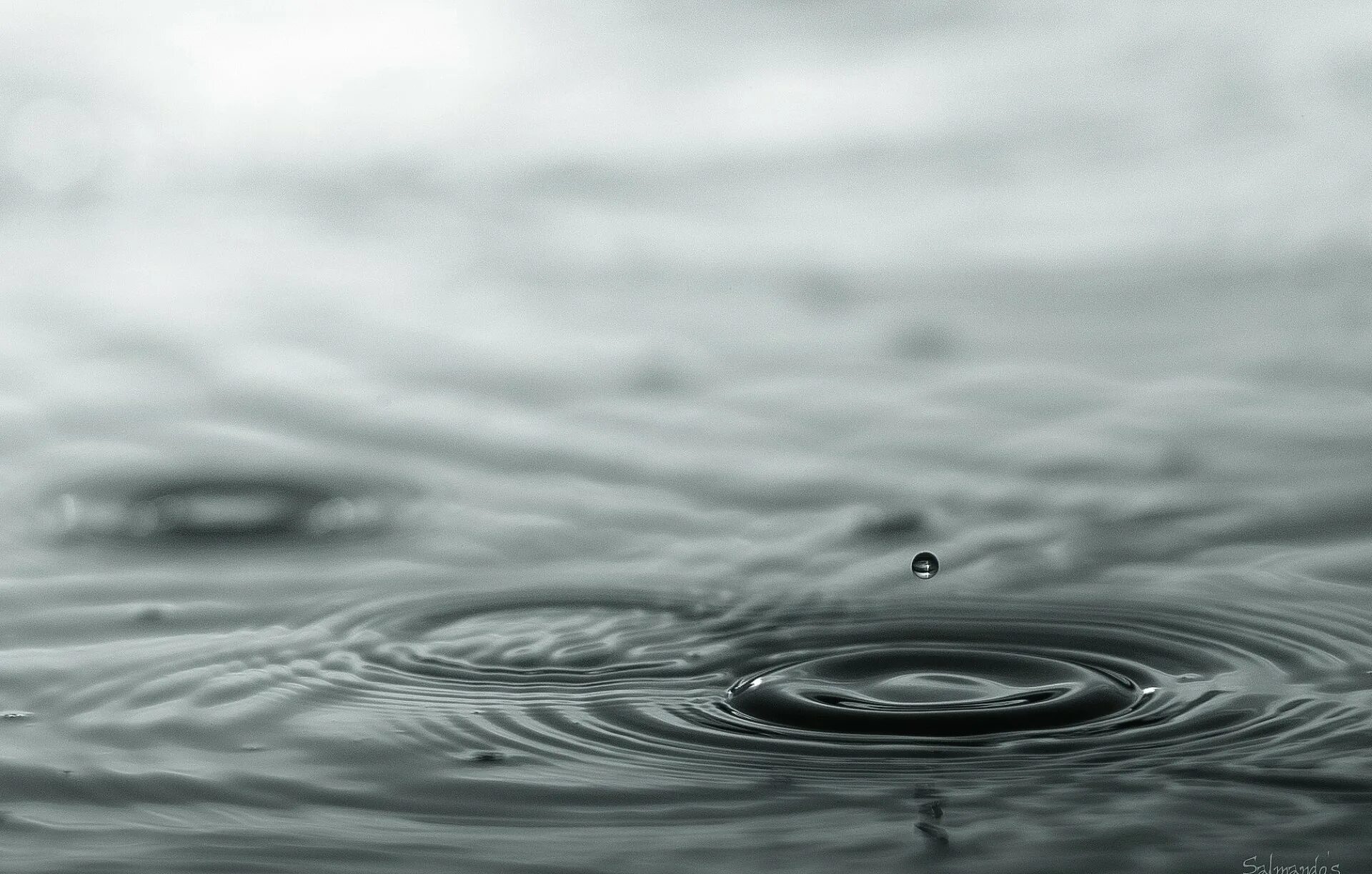 Капли воды. Капли дождя на воде. Черные капли. Капля падает в воду.