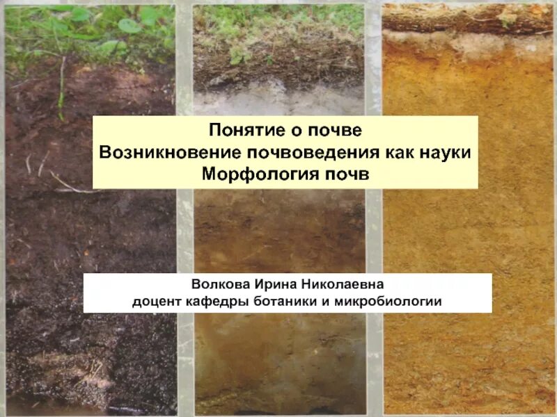 Морфология земли