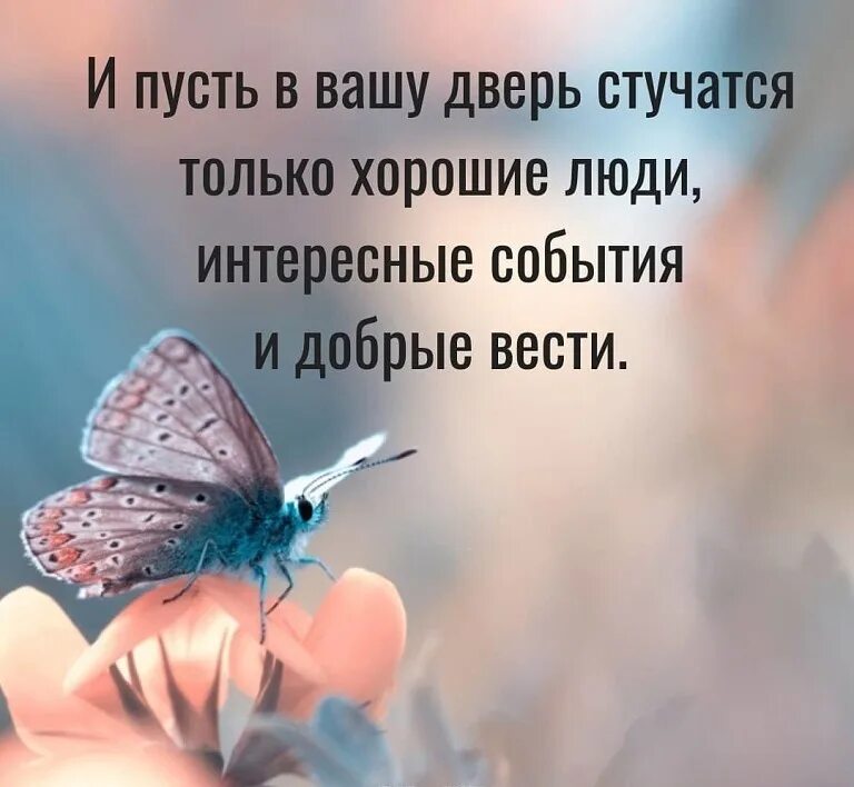 Пусть в Вашу дверь стучатся только хорошие люди добрые. Пусть в Вашу дверь стучат хорошие люди. Пусть тебя окружает счастье. Пусть только хорошее в жизни. Пусть стучится в дверь