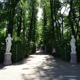 Центр летнего сада