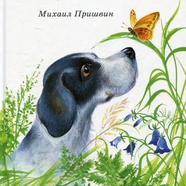 Слушать сказка для детей собачка. Слушать сказка для детей собачка