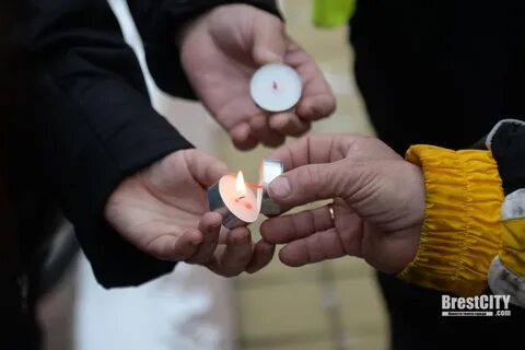 20 22 ноября